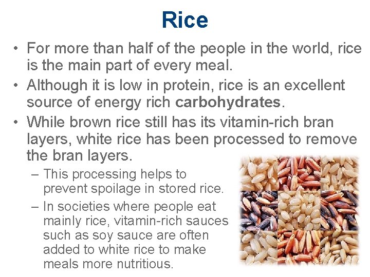 Rice • For more than half of the people in the world, rice is