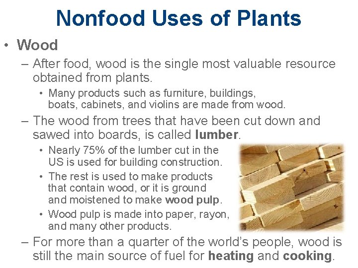 Nonfood Uses of Plants • Wood – After food, wood is the single most