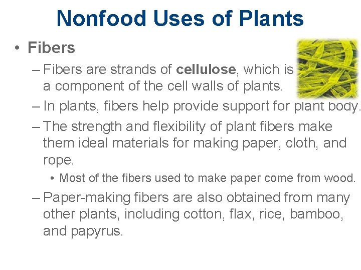 Nonfood Uses of Plants • Fibers – Fibers are strands of cellulose, which is