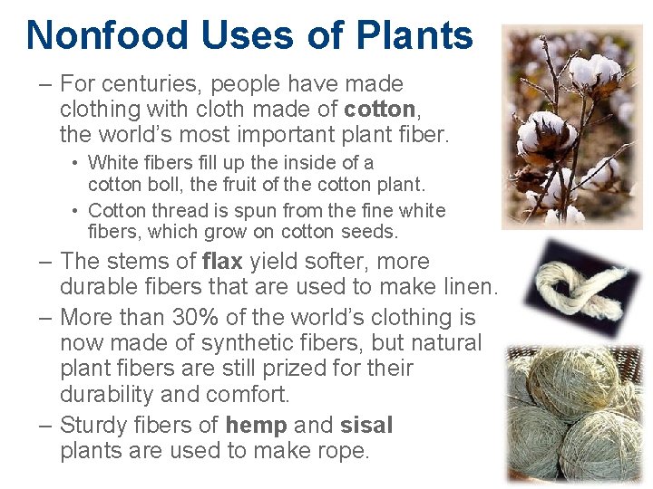 Nonfood Uses of Plants – For centuries, people have made clothing with cloth made