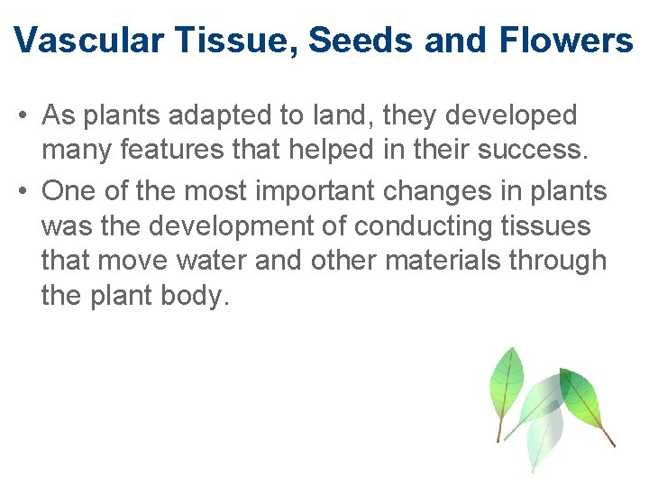 Vascular Tissue, Seeds and Flowers • As plants adapted to land, they developed many
