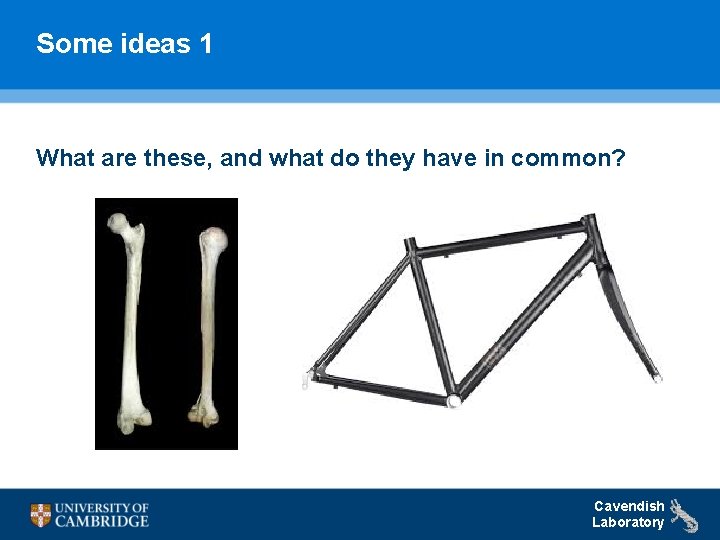 Some ideas 1 What are these, and what do they have in common? Cavendish