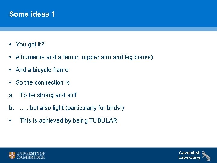 Some ideas 1 • You got it? • A humerus and a femur (upper