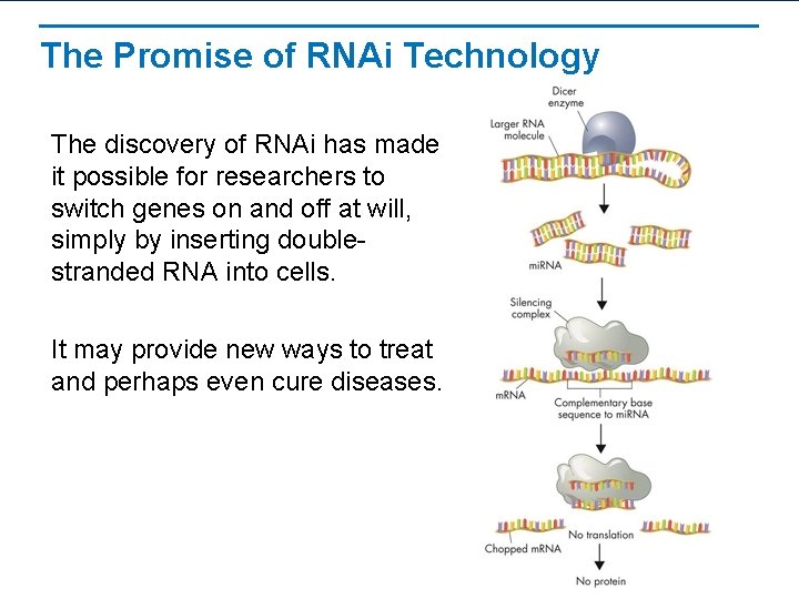 The Promise of RNAi Technology The discovery of RNAi has made it possible for