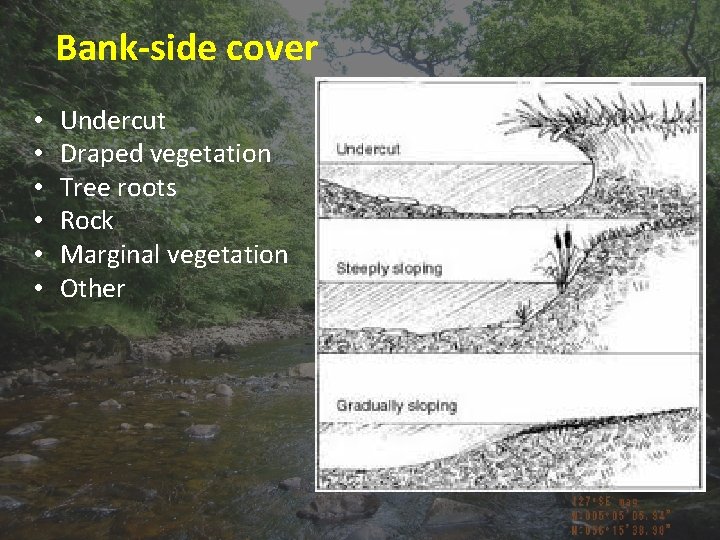 Bank-side cover • • • Undercut Draped vegetation Tree roots Rock Marginal vegetation Other