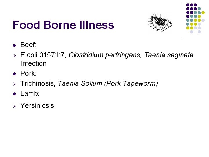 Food Borne Illness l Beef: E. coli 0157: h 7, Clostridium perfringens, Taenia saginata