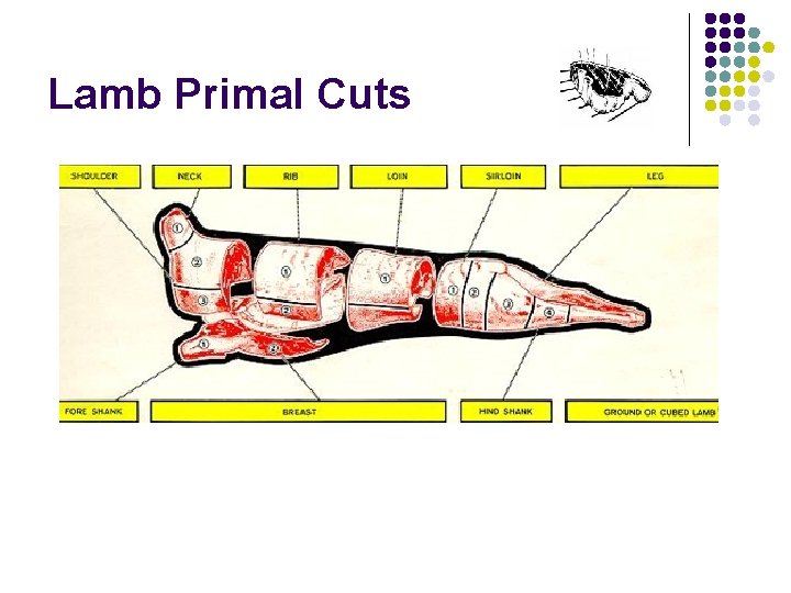 Lamb Primal Cuts 