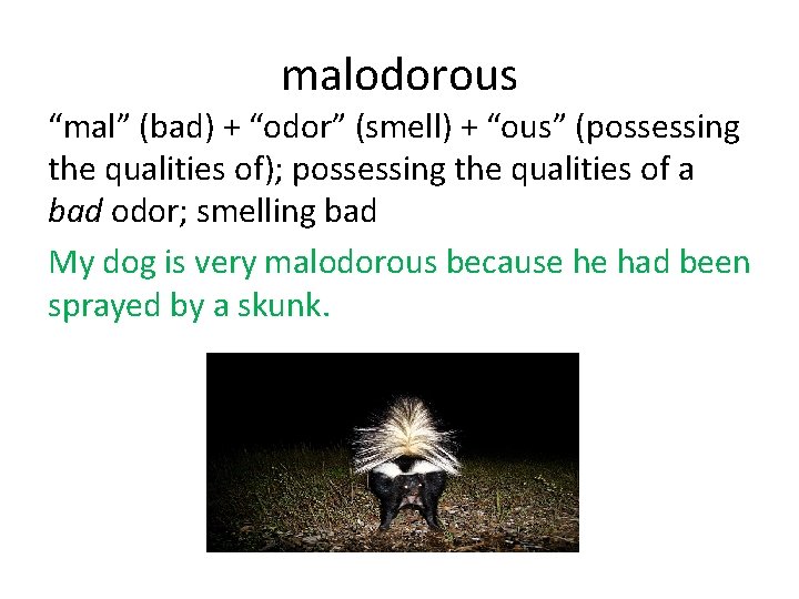 malodorous “mal” (bad) + “odor” (smell) + “ous” (possessing the qualities of); possessing the