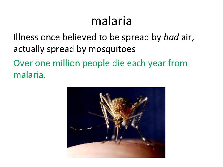 malaria Illness once believed to be spread by bad air, actually spread by mosquitoes