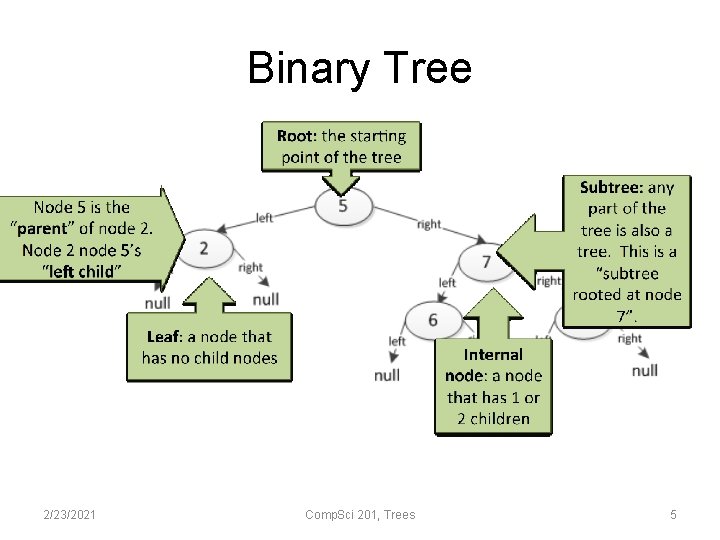 Binary Tree 2/23/2021 Comp. Sci 201, Trees 5 