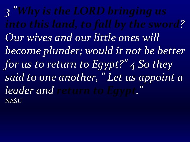 3 "Why is the LORD bringing us into this land, to fall by the