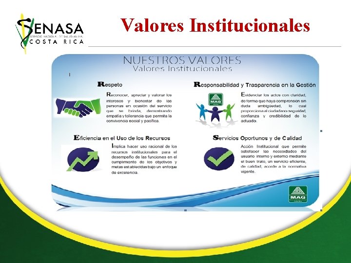 Valores Institucionales 