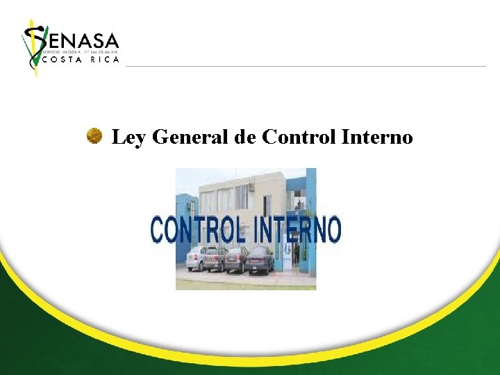 Ley General de Control Interno 