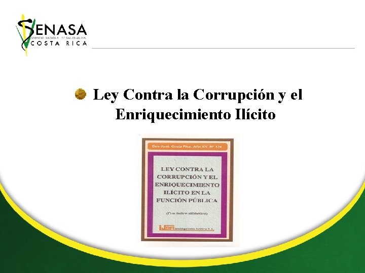 Ley Contra la Corrupción y el Enriquecimiento Ilícito 