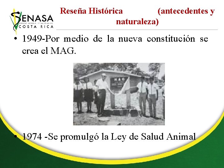 Reseña Histórica (antecedentes y naturaleza) • 1949 -Por medio de la nueva constitución se