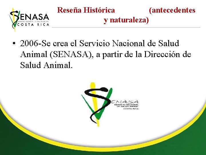 Reseña Histórica (antecedentes y naturaleza) • 2006 -Se crea el Servicio Nacional de Salud