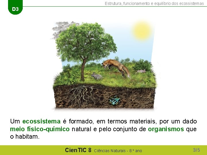 Estrutura, funcionamento e equilíbrio dos ecossistemas D 3 Um ecossistema é formado, em termos