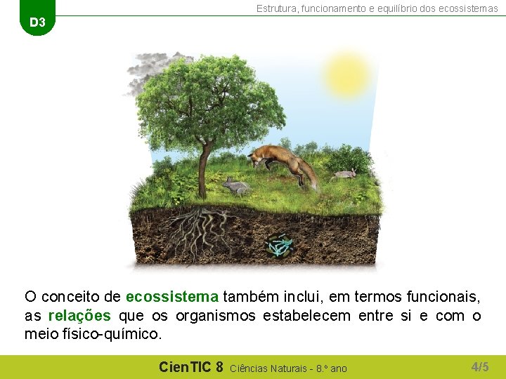 Estrutura, funcionamento e equilíbrio dos ecossistemas D 3 O conceito de ecossistema também inclui,