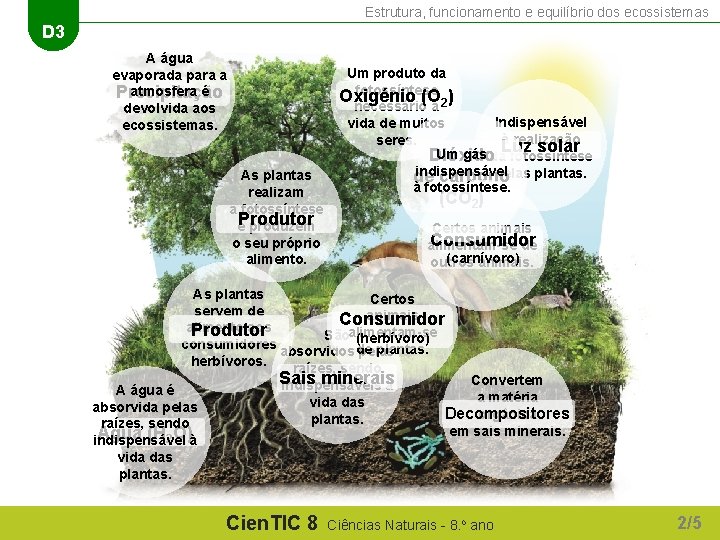 Estrutura, funcionamento e equilíbrio dos ecossistemas D 3 A água evaporada para a atmosfera