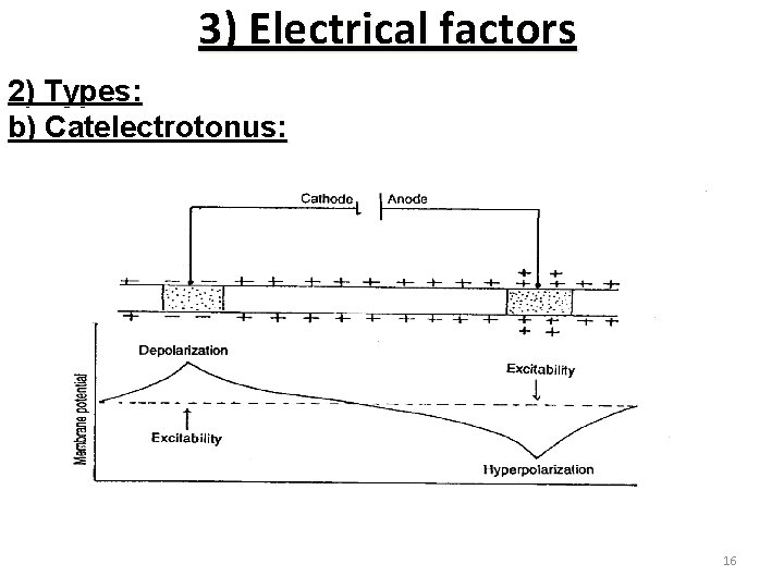3) Electrical factors 2) Types: b) Catelectrotonus: 16 
