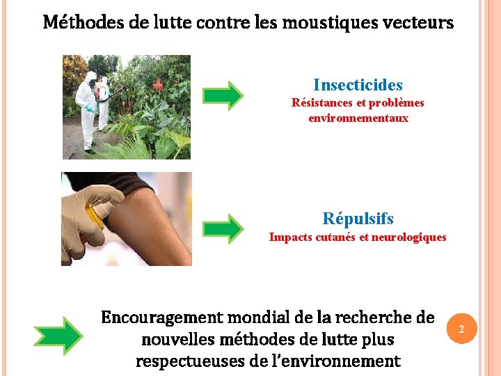 Méthodes de lutte contre les moustiques vecteurs Insecticides Résistances et problèmes environnementaux Répulsifs Impacts