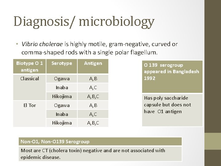 Diagnosis/ microbiology • Vibrio cholerae is highly motile, gram-negative, curved or comma-shaped rods with