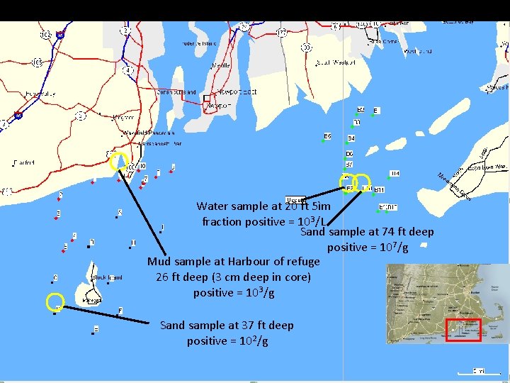 Water sample at 20 ft 5ìm fraction positive = 103/L Sand sample at 74
