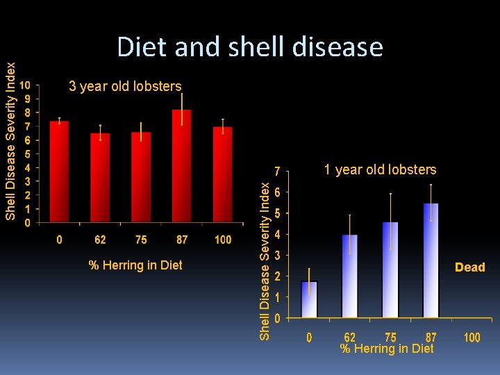 3 year old lobsters 1 year old lobsters % Herring in Diet Shell Disease