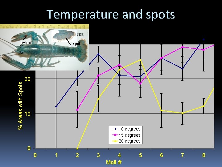Temperature and spots % Areas with Spots lesion 30 spot 20 10 10 degrees