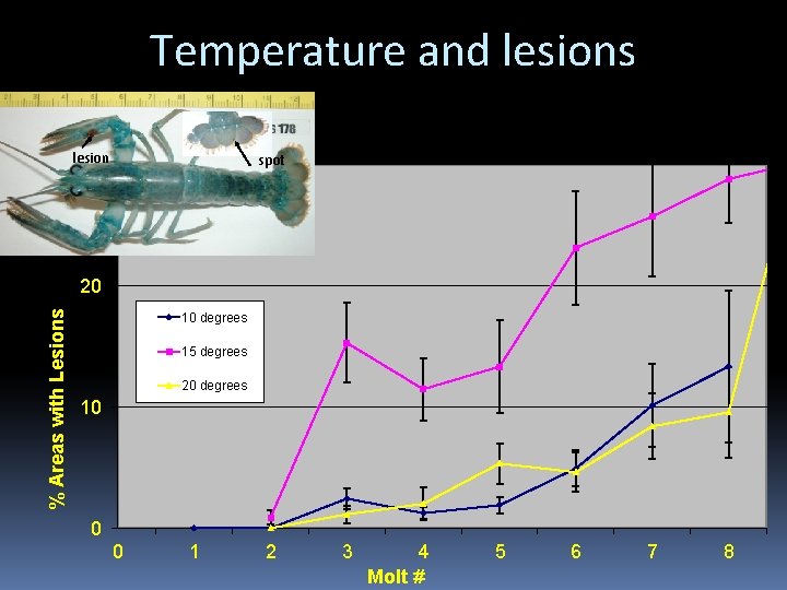 Temperature and lesions lesion spot 30 Lesions % Areas with Lesions 20 10 degrees