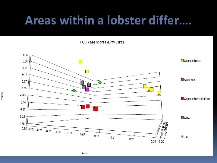 Areas within a lobster differ…. 