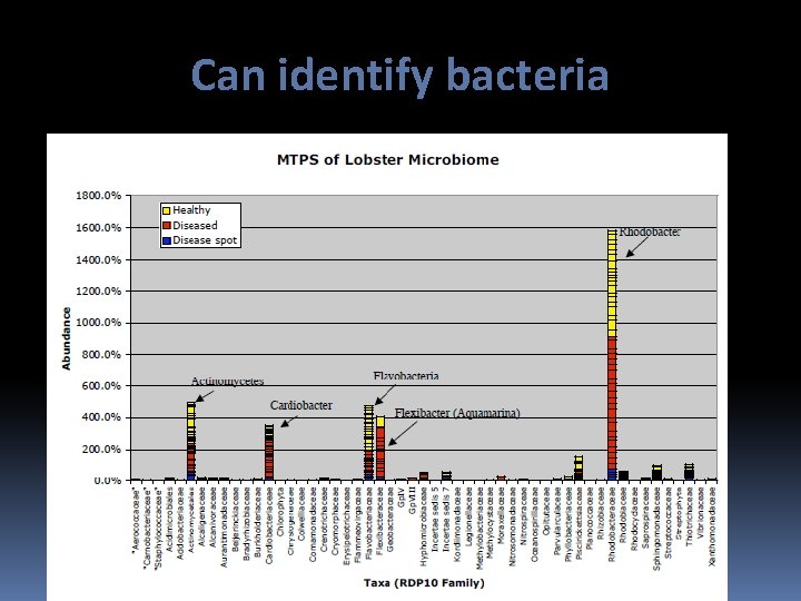Can identify bacteria 
