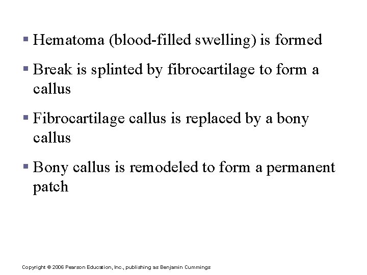 Repair of Bone Fractures § Hematoma (blood-filled swelling) is formed § Break is splinted