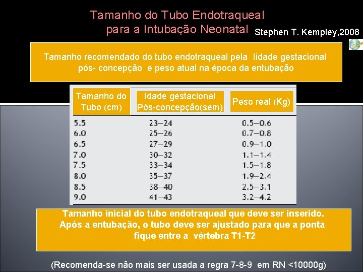 Tamanho do Tubo Endotraqueal para a Intubação Neonatal Stephen T. Kempley, 2008 Tamanho recomendado