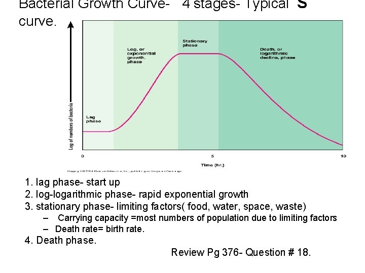 Bacterial Growth Curve- 4 stages- Typical S curve. 1. lag phase- start up 2. Bacterial Growth Curve- 4 stages- Typical S curve. 1. lag phase- start up 2.