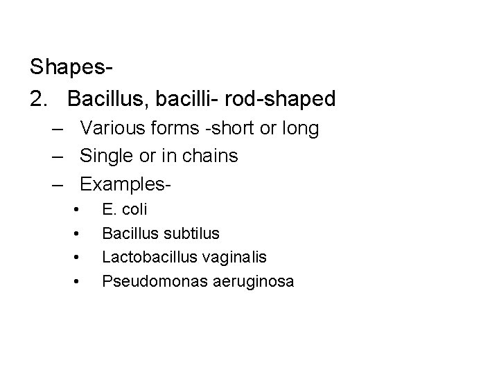 Shapes 2. Bacillus, bacilli- rod-shaped – Various forms -short or long – Single or Shapes 2. Bacillus, bacilli- rod-shaped – Various forms -short or long – Single or