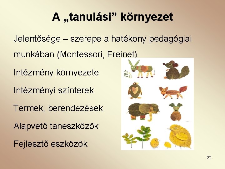 A „tanulási” környezet Jelentősége – szerepe a hatékony pedagógiai munkában (Montessori, Freinet) Intézmény környezete