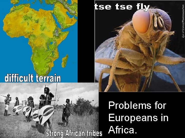 Problems for Europeans in Africa. 