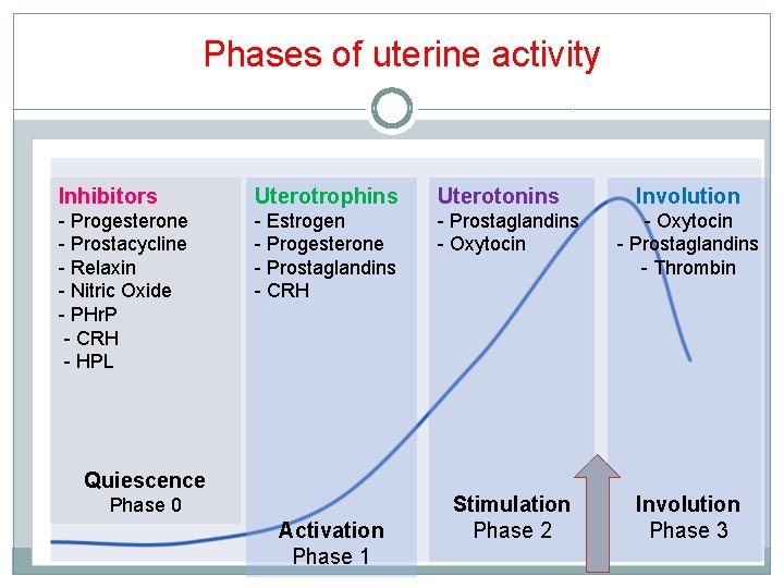 Phases of uterine activity Inhibitors Uterotrophins Uterotonins - Progesterone - Prostacycline - Relaxin -