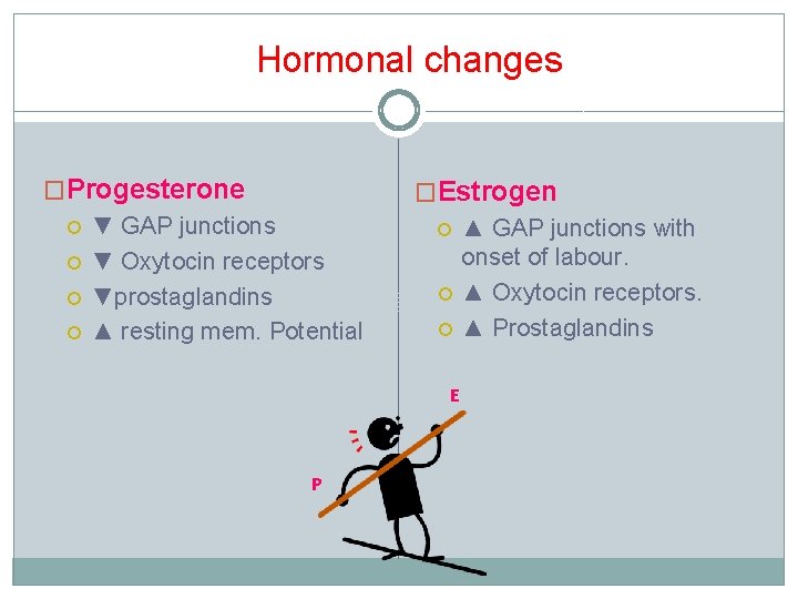 Hormonal changes �Progesterone ▼ GAP junctions ▼ Oxytocin receptors ▼prostaglandins ▲ resting mem. Potential Hormonal changes �Progesterone ▼ GAP junctions ▼ Oxytocin receptors ▼prostaglandins ▲ resting mem. Potential
