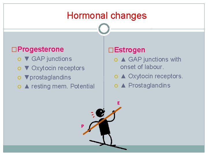 Hormonal changes �Progesterone ▼ GAP junctions ▼ Oxytocin receptors ▼prostaglandins ▲ resting mem. Potential