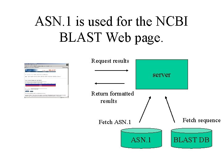 ASN. 1 is used for the NCBI BLAST Web page. Request results server Return