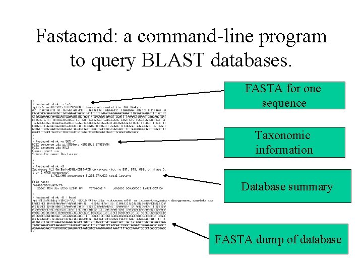 Fastacmd: a command-line program to query BLAST databases. FASTA for one sequence Taxonomic information