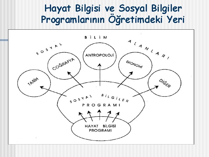Hayat Bilgisi ve Sosyal Bilgiler Programlarının Öğretimdeki Yeri 