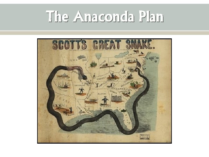 The Anaconda Plan 