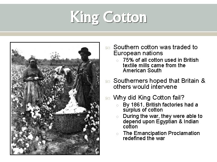 King Cotton Southern cotton was traded to European nations o 75% of all cotton