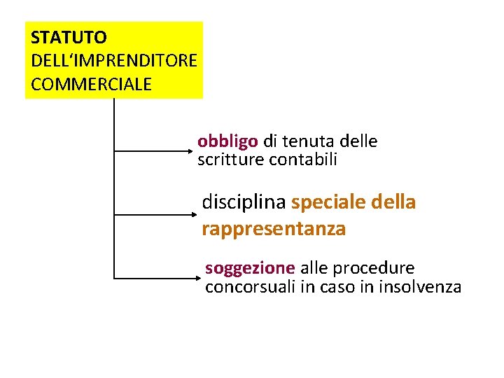 STATUTO DELL‘IMPRENDITORE COMMERCIALE obbligo di tenuta delle scritture contabili disciplina speciale della rappresentanza soggezione