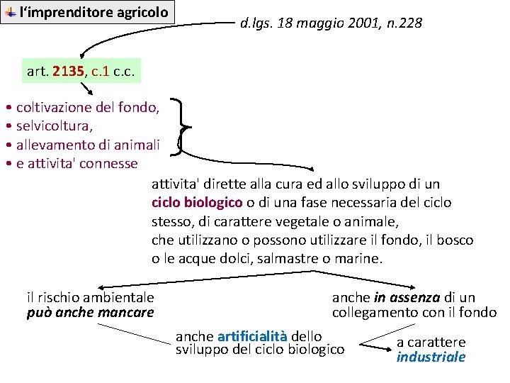 l‘imprenditore agricolo d. lgs. 18 maggio 2001, n. 228 art. 2135, c. 1 c.