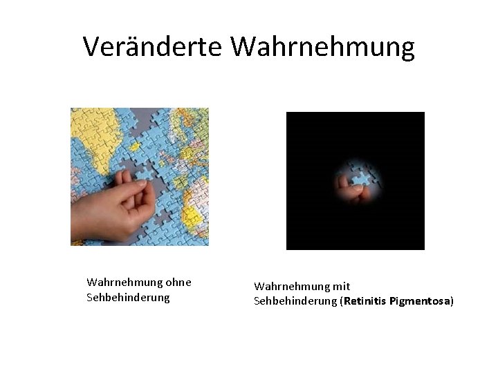 Veränderte Wahrnehmung ohne Sehbehinderung Wahrnehmung mit Sehbehinderung (Retinitis Pigmentosa) 