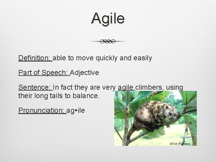 Agile Definition: able to move quickly and easily Part of Speech: Adjective Sentence: In